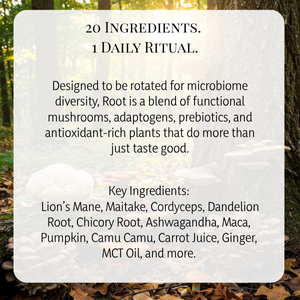 Root